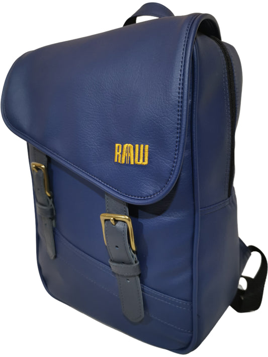 Back pack / laptop