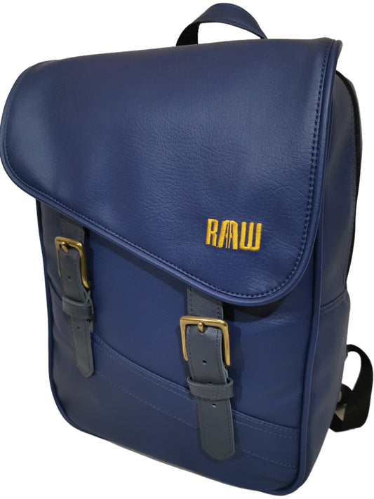 Back pack / laptop